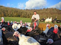 'You're not going to have any farmers' warns Hampshire turkey farmer