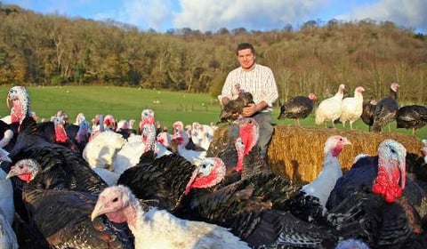 'You're not going to have any farmers' warns Hampshire turkey farmer