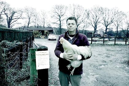 Bird flu poses no real threat in East Hampshire, stress farmers