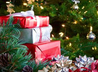 Residents near Petersfield urged not to give thieves a ‘Merry Christmas’