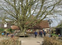 Froxfield school plans for new library and yurt