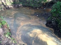 Petersfield stream given the all clear after fears it contained a "horrible cocktail" of pollution