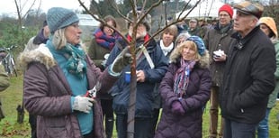 Wassailing in the orchard returns to Petersfield this weekend 