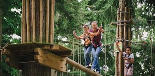 Hunt for Easter eggs high in the trees or among birds