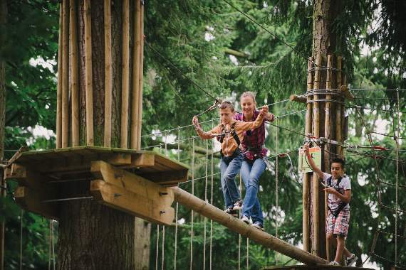 Hunt for Easter eggs high in the trees or among birds