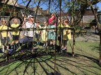 Petersfield Infant School pupils help to create living willow dome