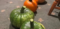 Petersfield growers show they have the pumpkin power!