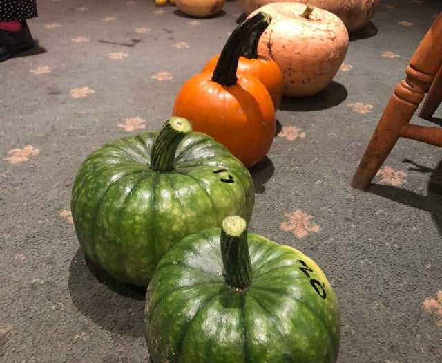 Petersfield growers show they have the pumpkin power!