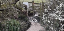 Kissing gate opens onto sunny walk from Petersfield to Buriton