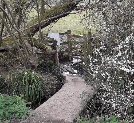 Kissing gate opens onto sunny walk from Petersfield to Buriton