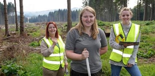 Tenth birthday for the national park