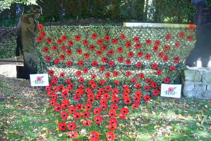 British Legion poppy cascade at Buriton War memorial
