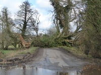 Surrey and Hampshire surveys the damage left behind by Storm Eunice