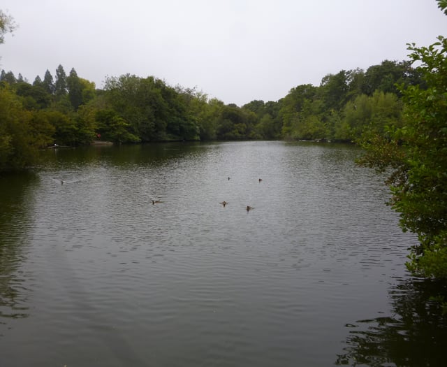 Fears that Alton’s Kings Pond could become a muddy swamp