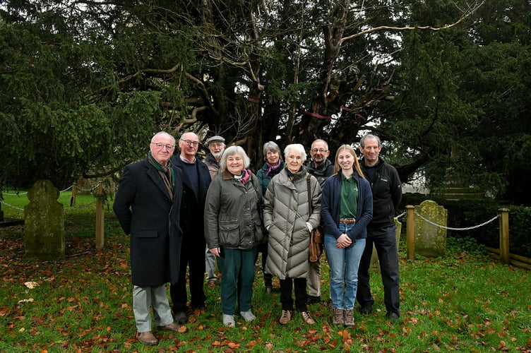 Pictured: Members from The Woodland Trust, East Hants District Council, South Downs National Park, Farringdon Parish Council and Farringdon Villagers gather together in front of the the new structures installed on the yew tree.

A group of villagers have banded together to raise £13,000 and save one of Britain's oldest trees for 'generations to come'.  The 3,000-year-old ancient yew tree is among the country's ten oldest trees, and although it is healthy, it was becoming unstable.

Measuring 30ft 6ins at its narrowest point, the 'ancient exceptional' classed tree needed a special brace to support it and hold together the strands of its hollow trunk.  'Ancient exceptional' is one of the classifications of yew tree based on their age and girth, guided by the Ancient Yew Group's protocols, part of the National Churches Trust.  SEE OUR COPY FOR DETAILS.

© Simon Czapp/Solent News & Photo Agency
UK +44 (0) 2380 458800
