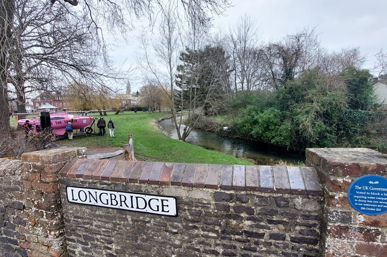 The Extinction Rebellion pink boat and plaque in Gostrey Meadow, Farnham