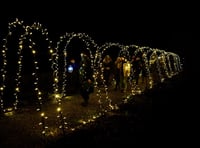 Wassailers keep evil spirits away from orchard at Chawton House