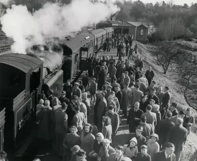 Walk: Exploring the old railway between Petersfield and Midhurst