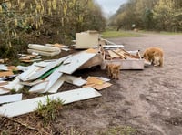 Meon Valley fly-tip is 'the worst I've ever seen', says dog walker