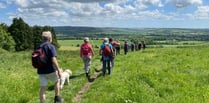 Ramble through Austen country at this year's Alton Walking Festival