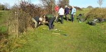 Two new hedgerows planted by Alton Climate Action Network volunteers