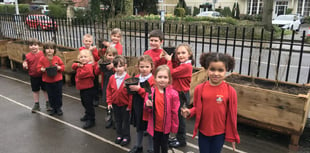 Planting a hedge will clean the air at Alton Infant School