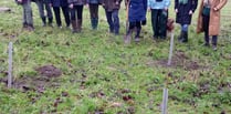 Elizabeth Copse planted at Chawton House to remember Queen