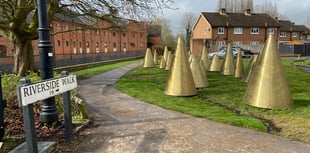 Formal complaint against Farnham's golden cones art installation