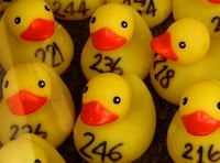 Farnham Duck Race: All you need to know ahead of this Saturday's event