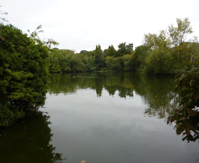 Save Kings Pond founder Andrew Kuttner says ‘vote Tory’ to save it