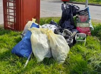 Litter pickers clear up in Langrish and Ramsdean