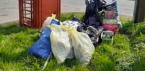 Litter pickers clear up in Langrish and Ramsdean