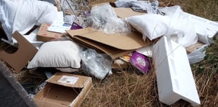 Director fined after employees fly-tipped in West Worldham