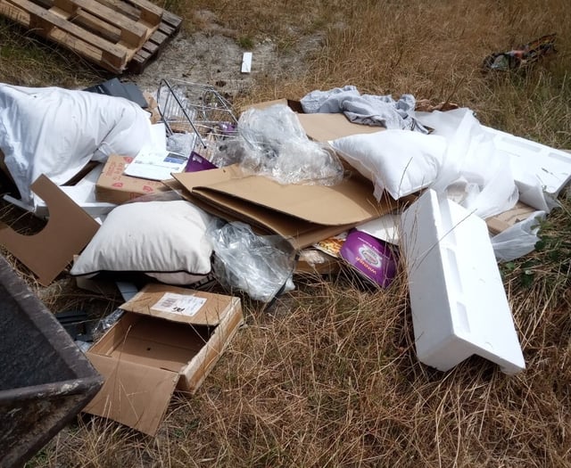 Director fined after employees fly-tipped in West Worldham