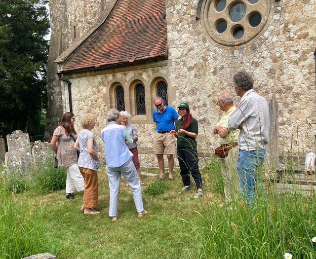 Busy bees: Hampshire county and environmental group help pollinators