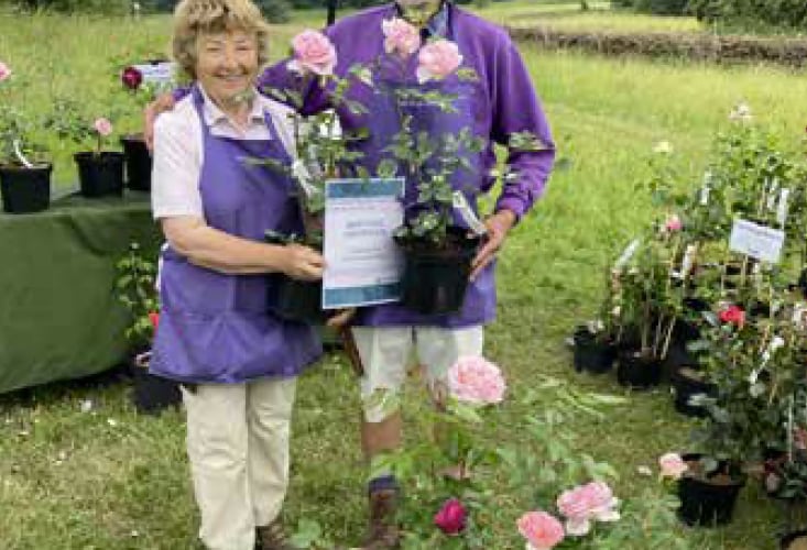 Best in show Seale Rose Garden, Catherine May and David May, Unusual Plants Fair, Gilbert White's House, Selborne, June 17th and 18th 2023.