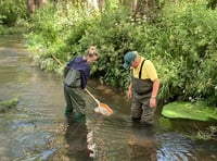 Don’t stand back – help River Wey Trust clean up our local rivers