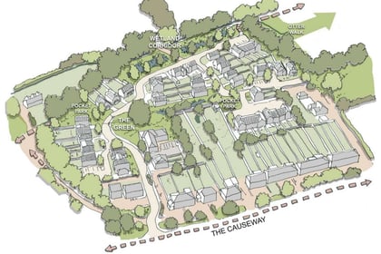 More than 150 new homes on the horizon for Petersfield if plans approved