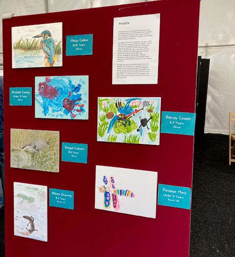 Pond life picture competition winners on display across East Hampshire