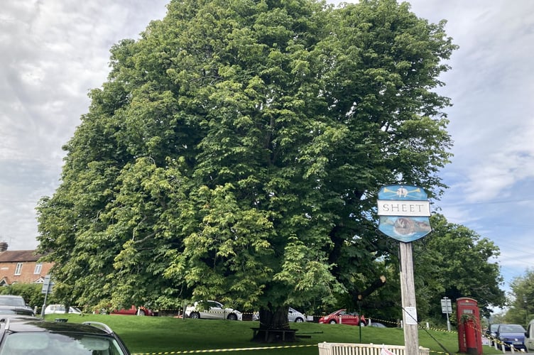 Sheet Village Green Tree