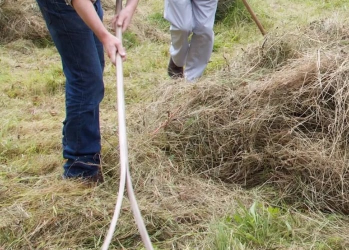 Hay Making