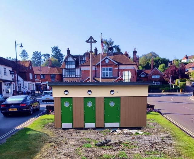 Bog bulletin: the Lion Green toilet block is a headache for everyone