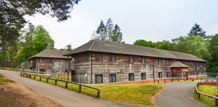 PGL hit with £1m fine after children hurt at Hindhead adventure centre