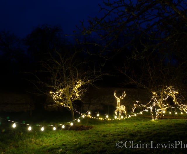 Twinkling festive fun awaits at Chawton House this Christmas