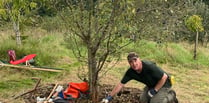 Interest growing as PECAN ready for Petersfield's first Tree Festival