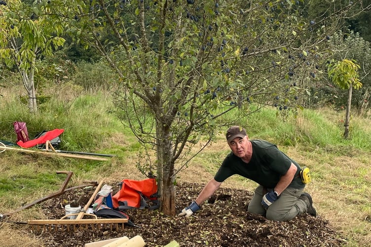 Tree Festival Planting Pic