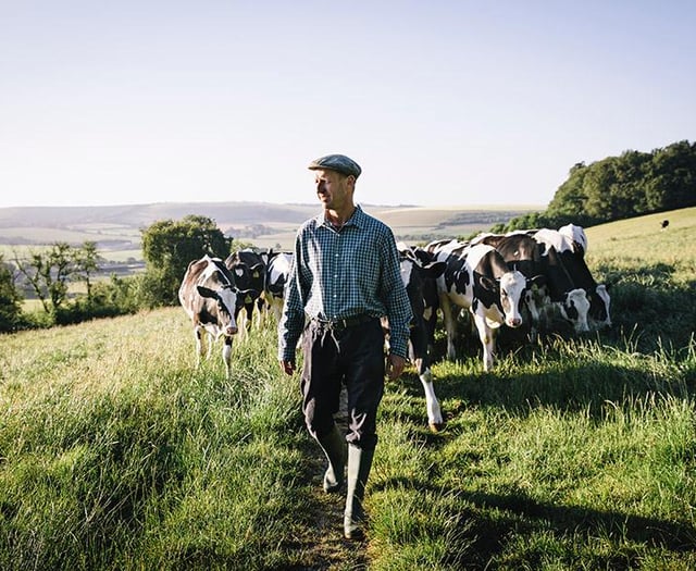 Pair's green vision to make East Meon farm a regenerative UK leader