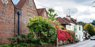 Pane-fully needed: Your chance to support Haslemere Museum