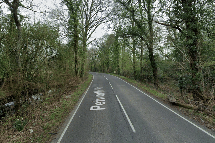 Police say the crash happened on Petworth Road between the junctions for the Chiddingfold Golf Club and Gostrode Lane