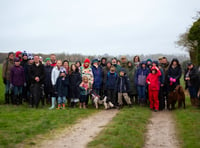 Save Neatham Down campaigners highlight its beauty on nature walk 